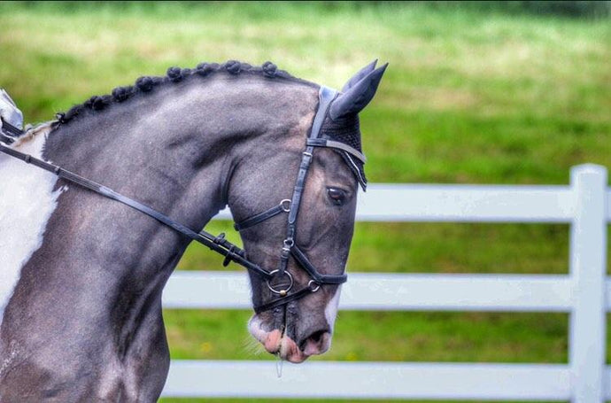 How to get the perfect plaits for your horse