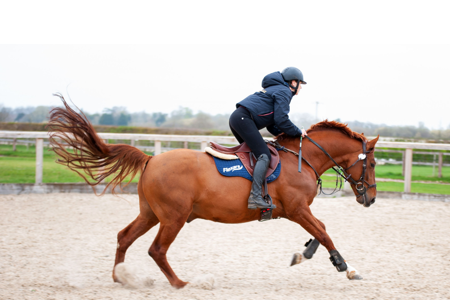 Flexars Japan《イギリス発ー乗馬競技由来のレギンスブランド》